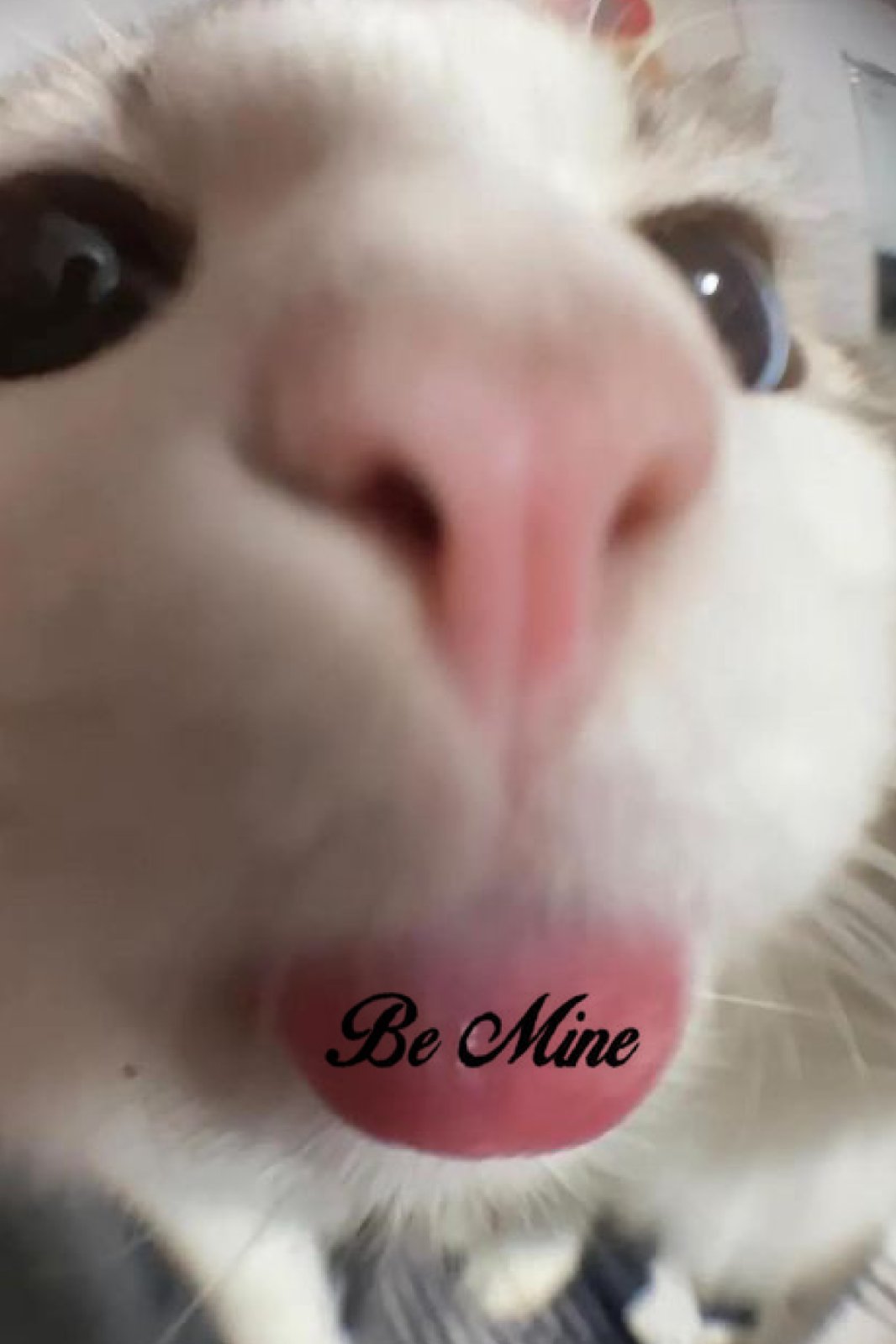 Be Mine E-Gift Card